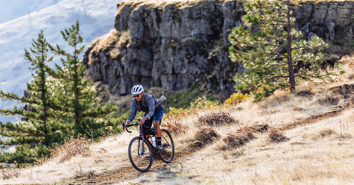 Trek Checkpoint Gravel Bike