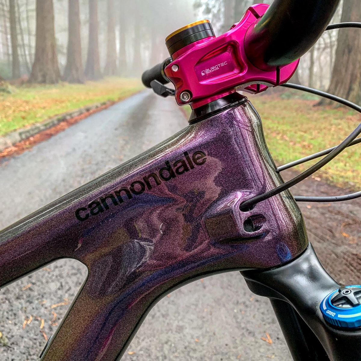 Lucy Bell Wheelbase Cannondale