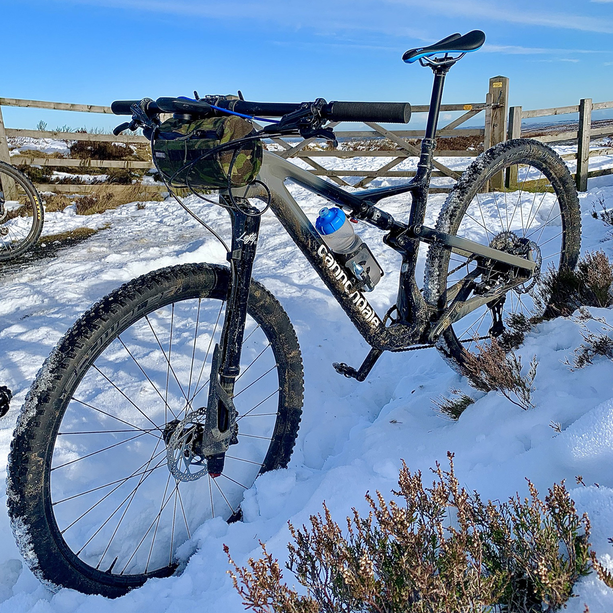Lucy Bell Wheelbase Cannondale
