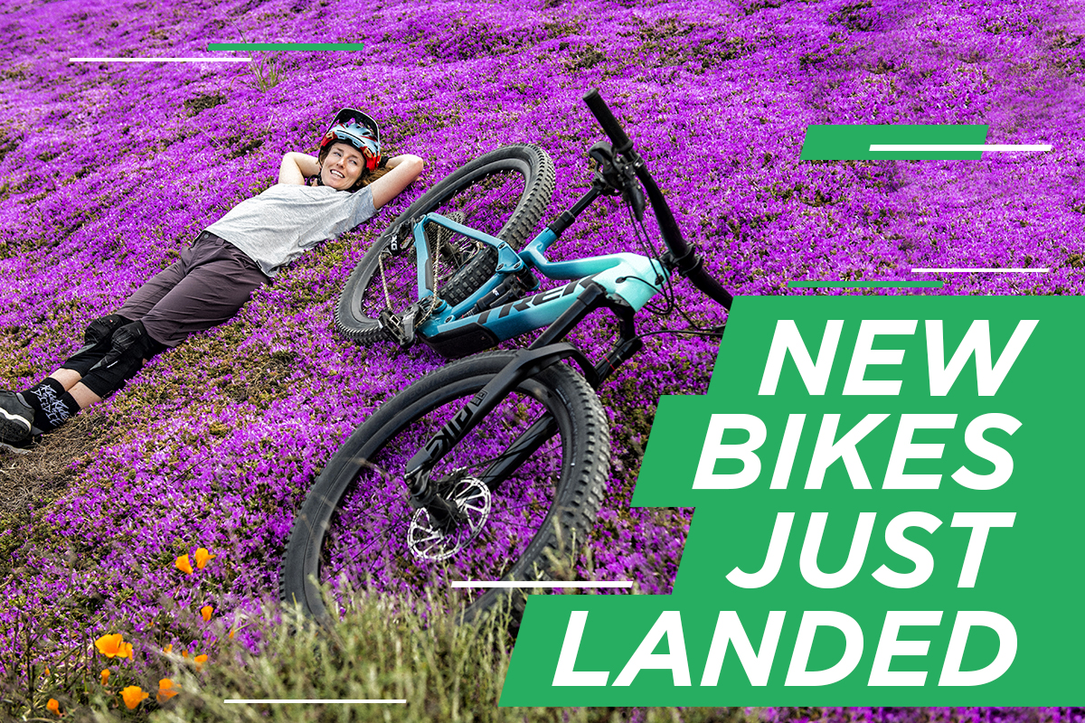 NEW BIKES JUST LANDED!