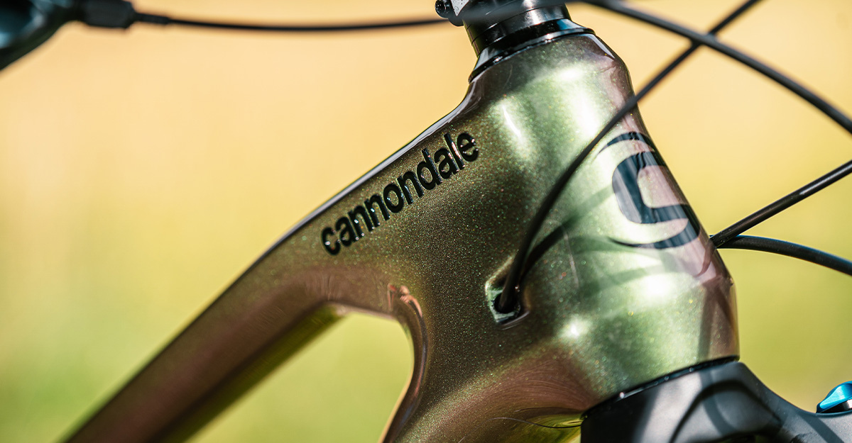 Cannondale Jekyll 1 2022