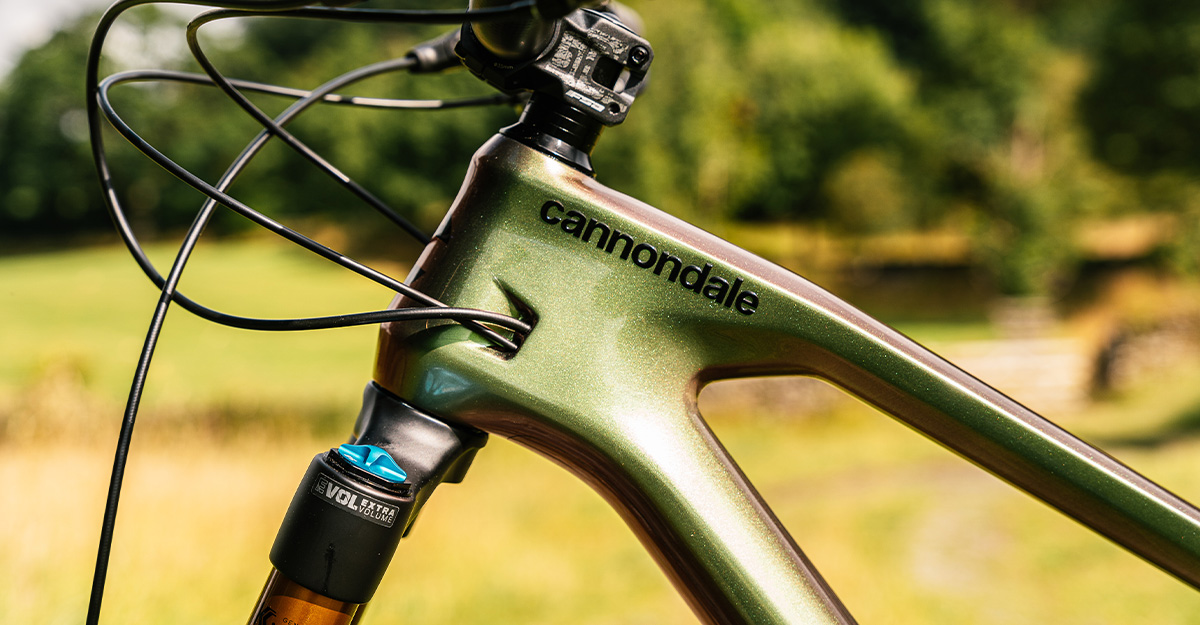 Cannondale Jekyll 1 2022
