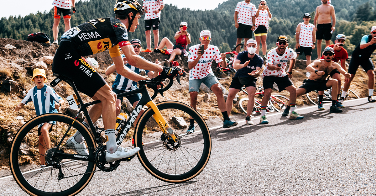 Cervelo R5 2022