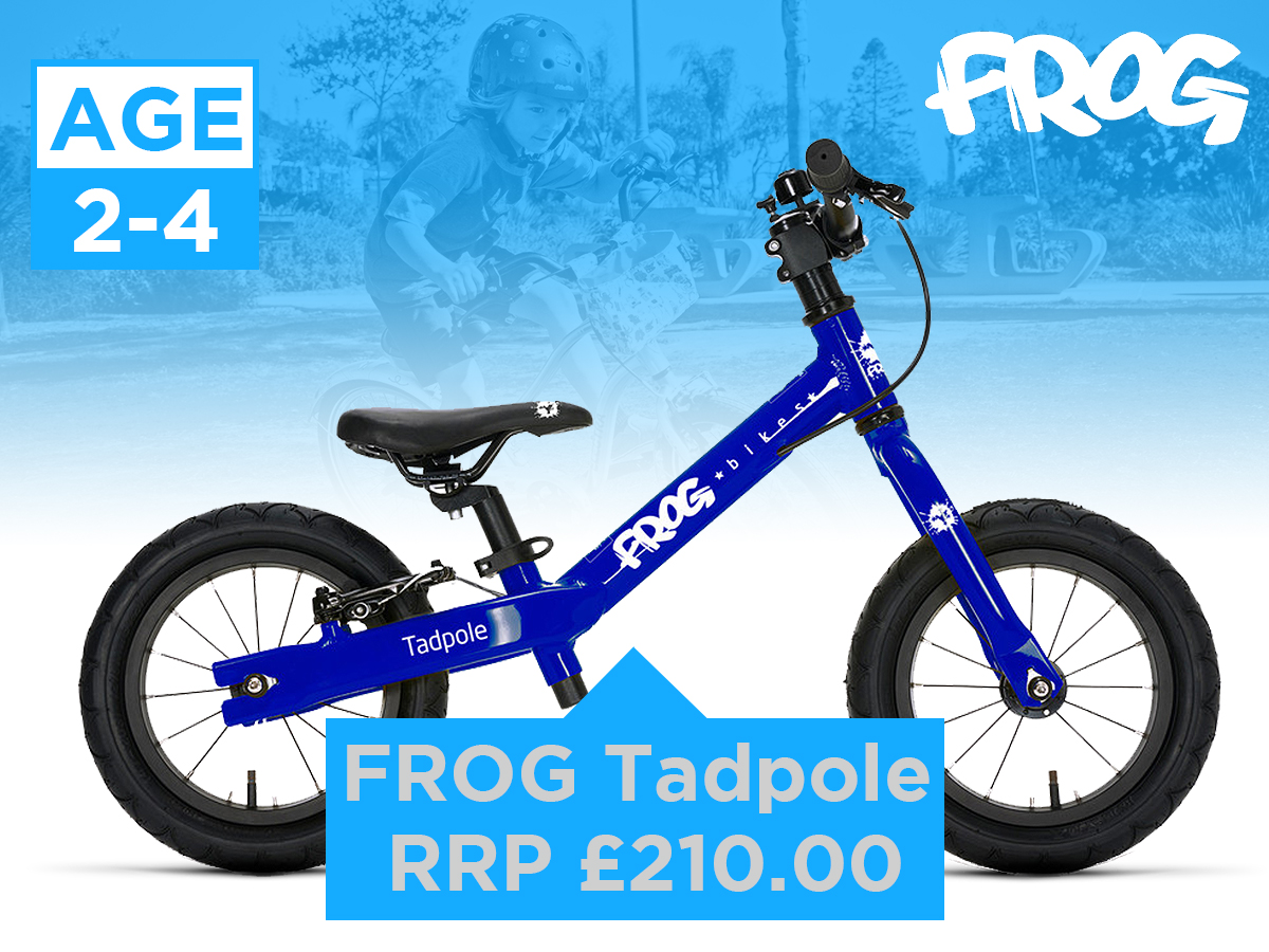 Frog Tadpole