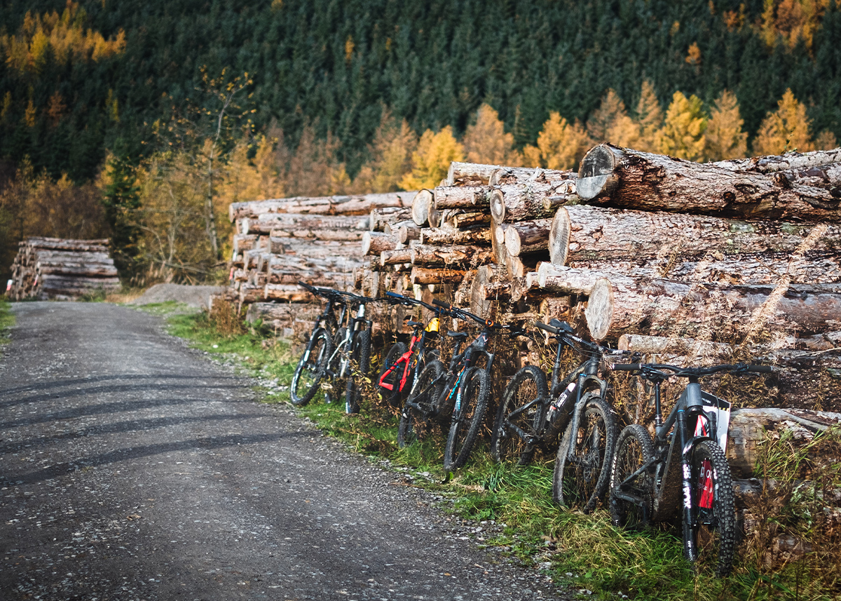 Whinlatter Trail Centre