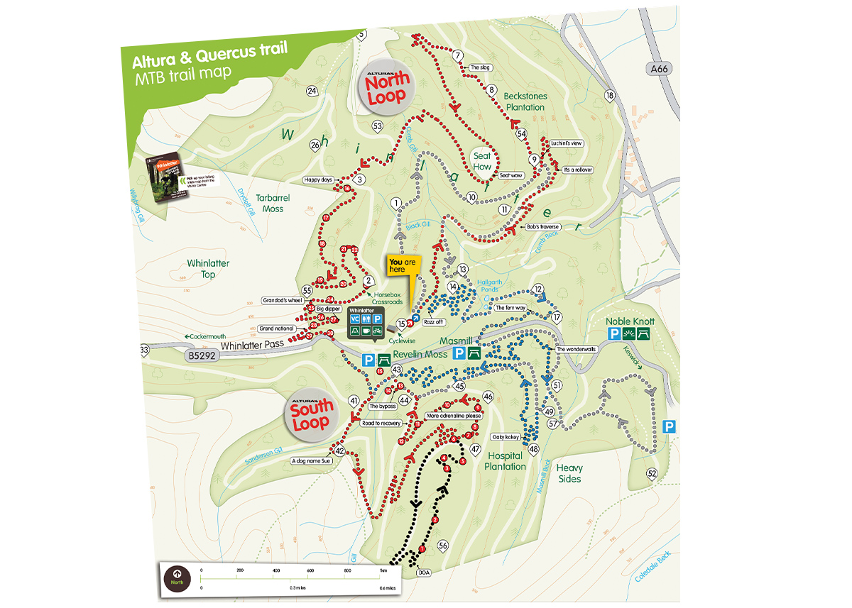 Whinlatter Trail Centre Map