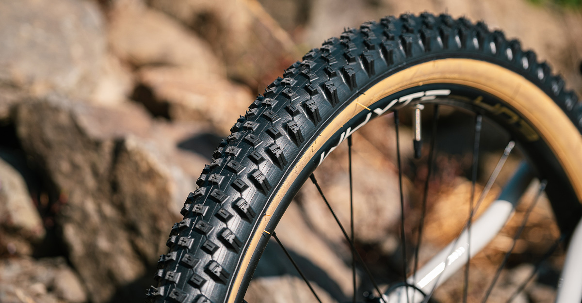 Whyte 403 2022
