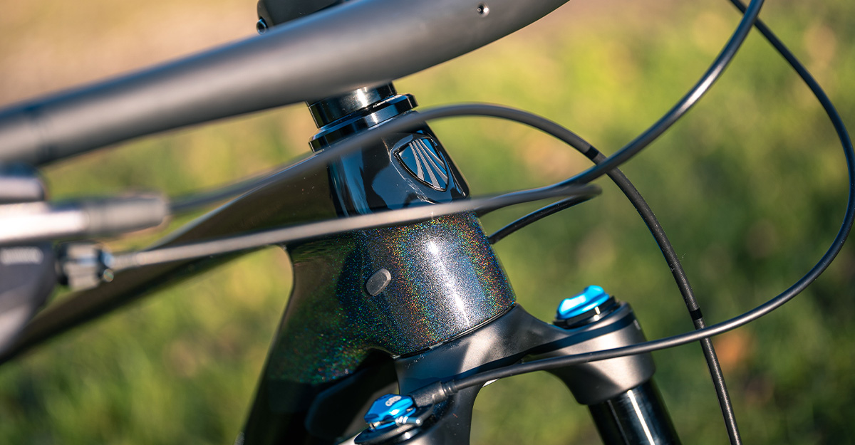 Trek Procaliber 9.8 2022