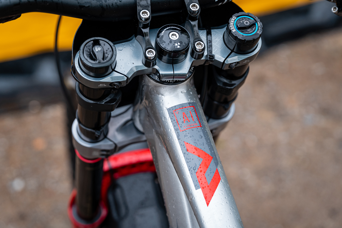Nukeproof Dissent 297