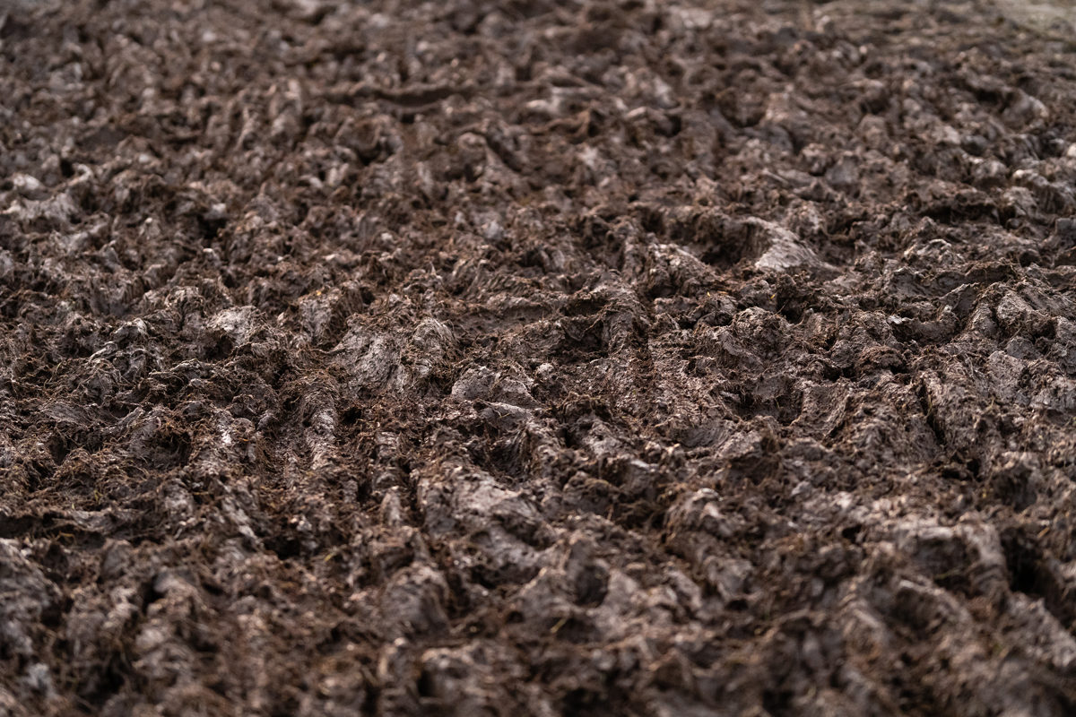 National Cyclo-Cross Championships