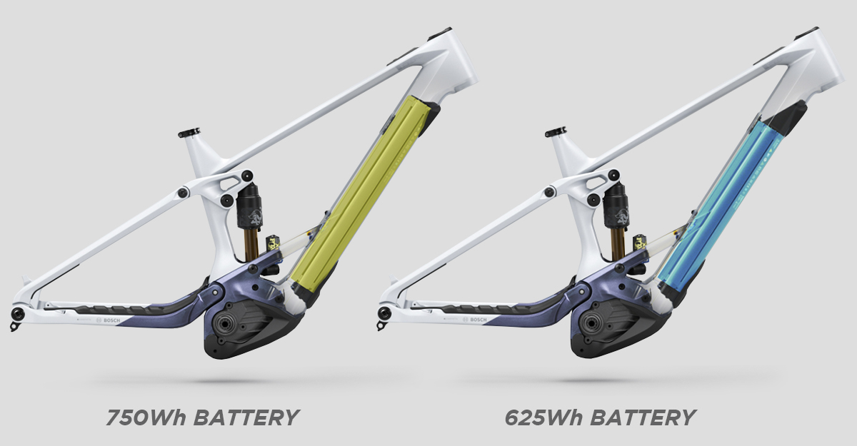 Orbea Wild 2023