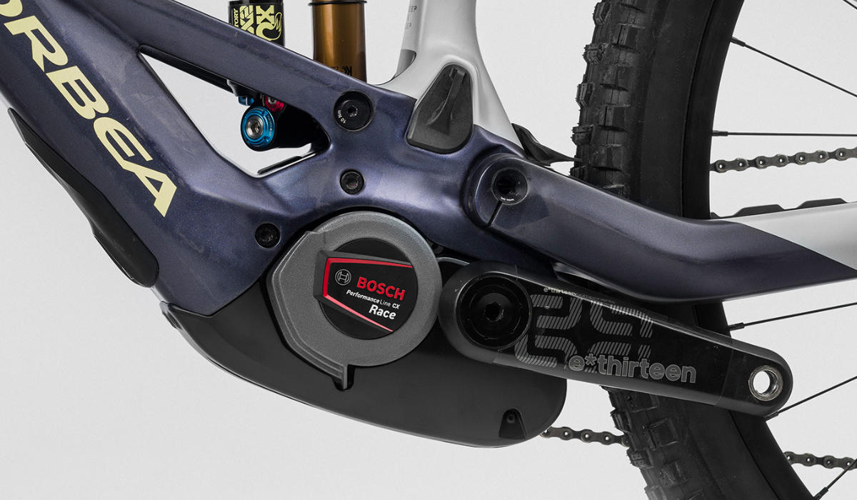 Orbea Wild 2023