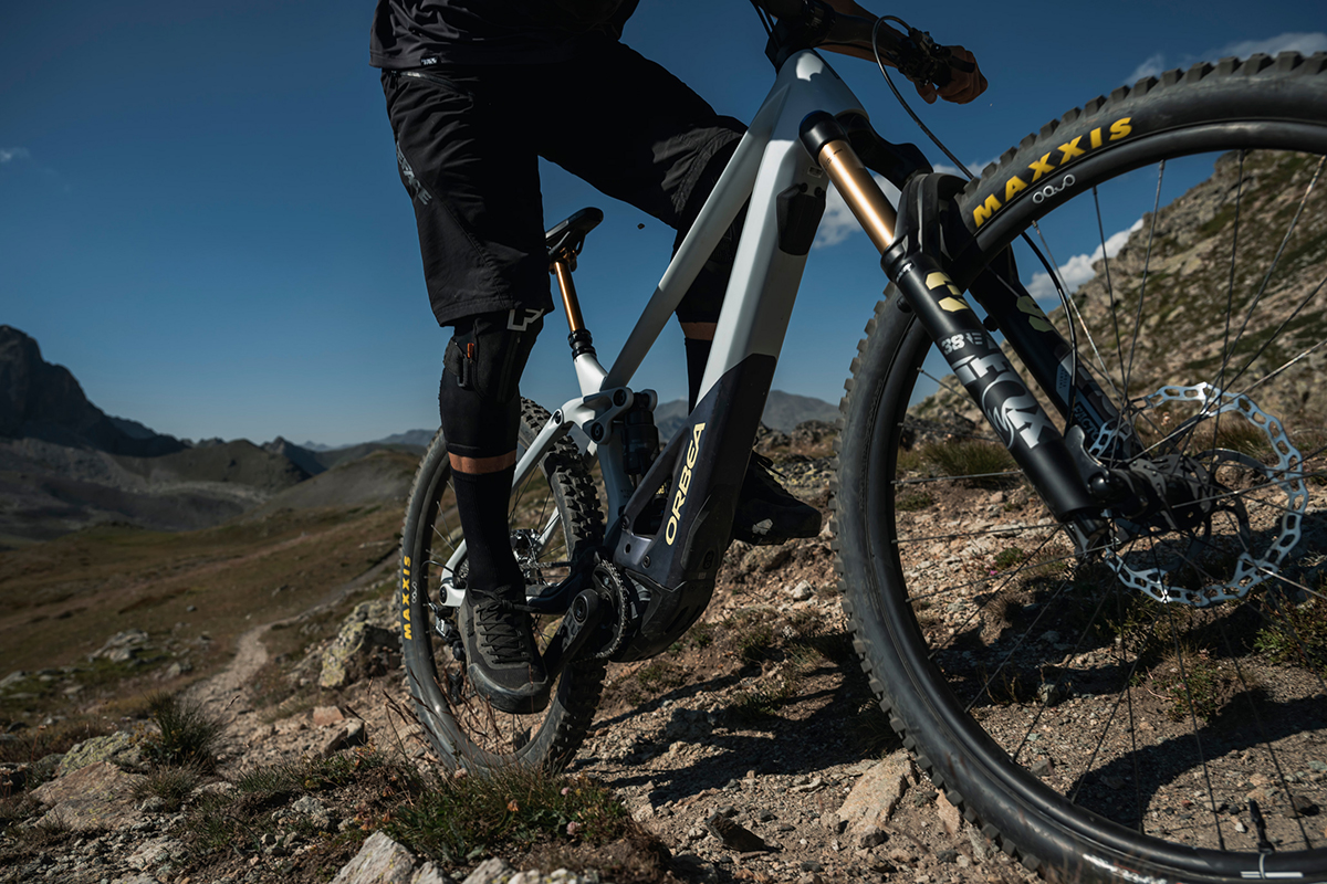 Orbea Wild 2023