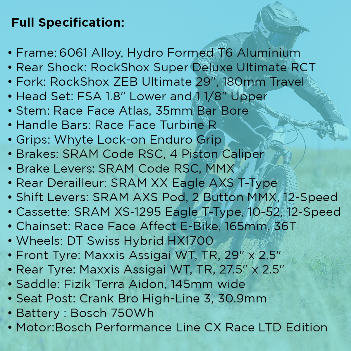 Whyte E-180 Works MX