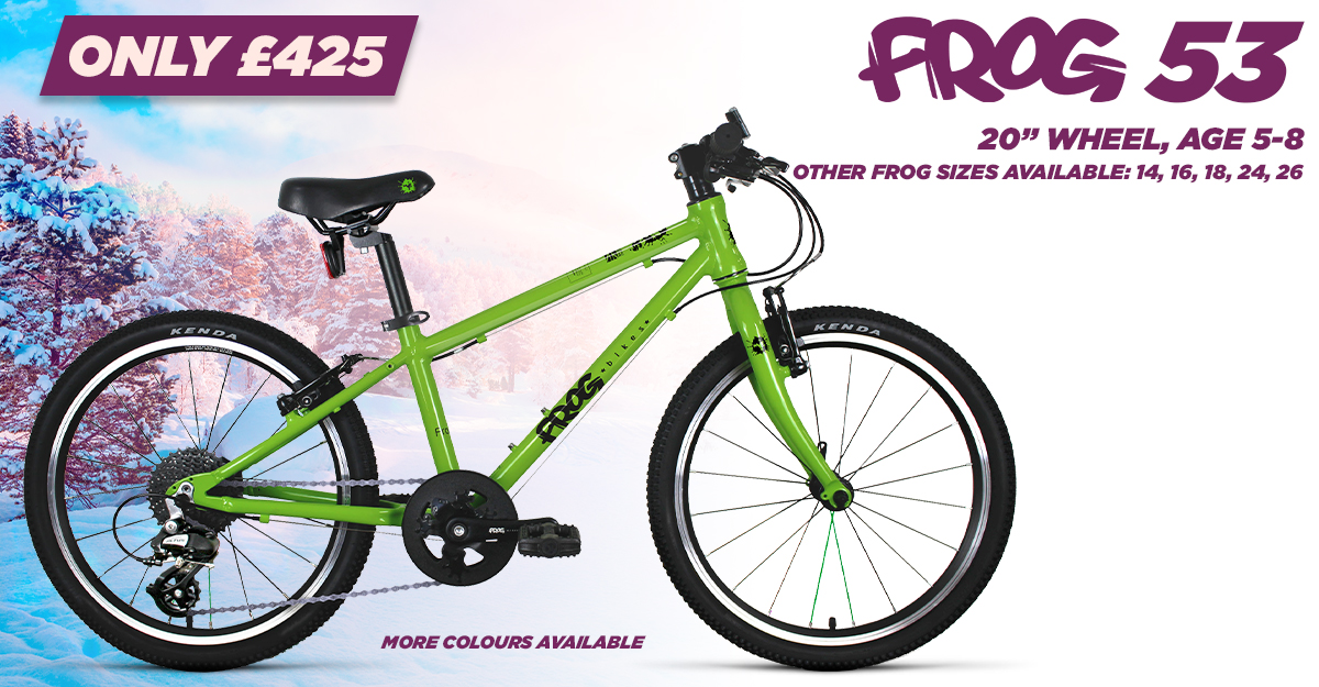 Frog 53