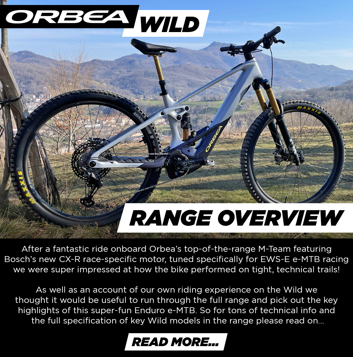 Orbea Wild
