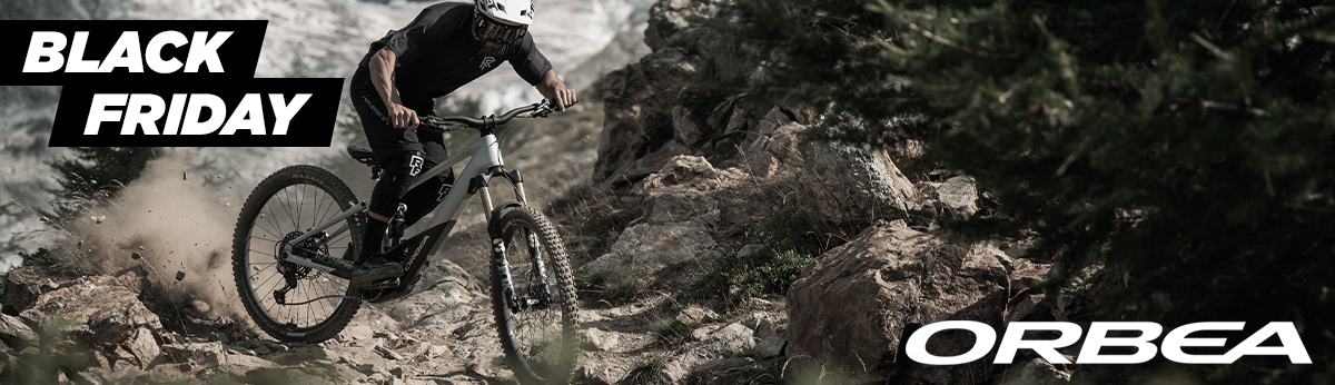 Orbea Wild
