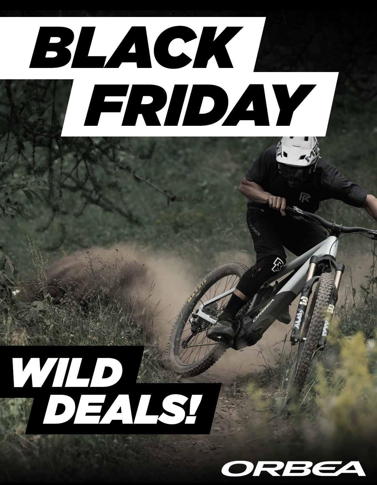 Orbea Wild