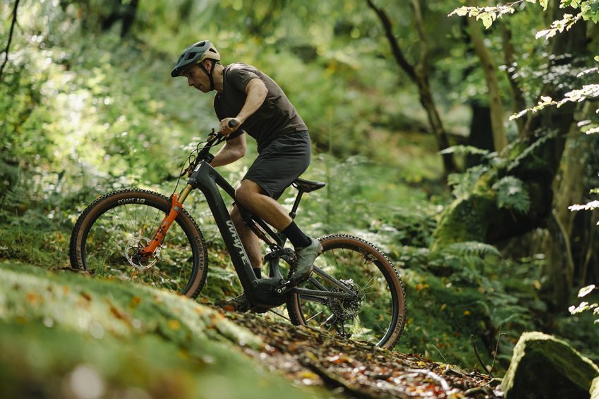 The Power of Bosch SX – Hot New Models ?