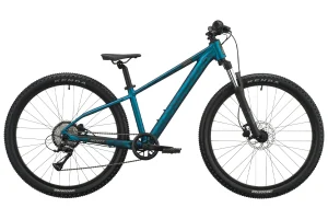 Scott Roxter 600 2027