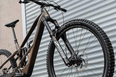 Orbea_Wild_LT_M20_Carbon_Gold_2