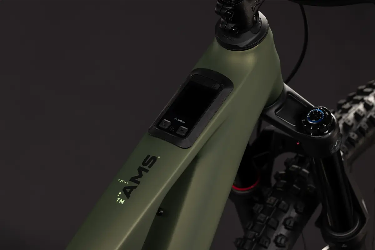 AMS_Hybrid_177_C62_TM_600X_Reedgreen_2