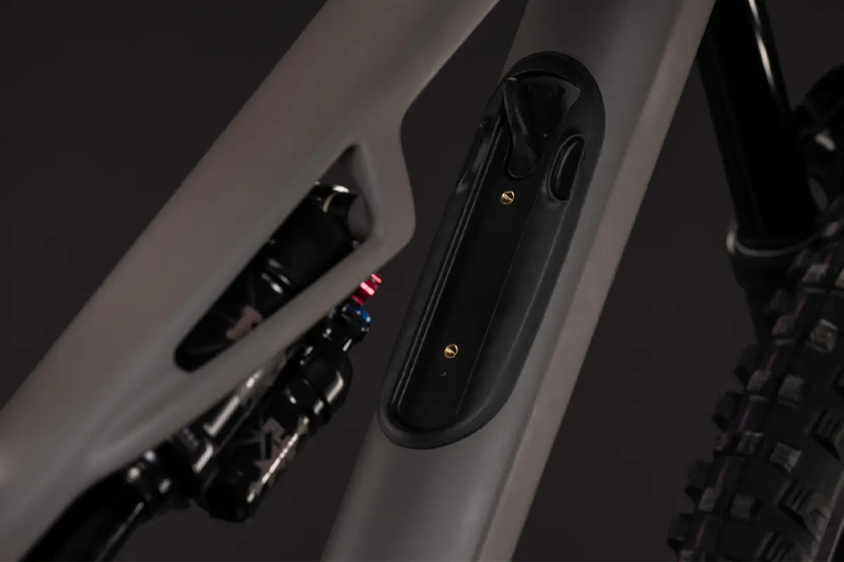 Stereo_HPC_TM_Cedar_4