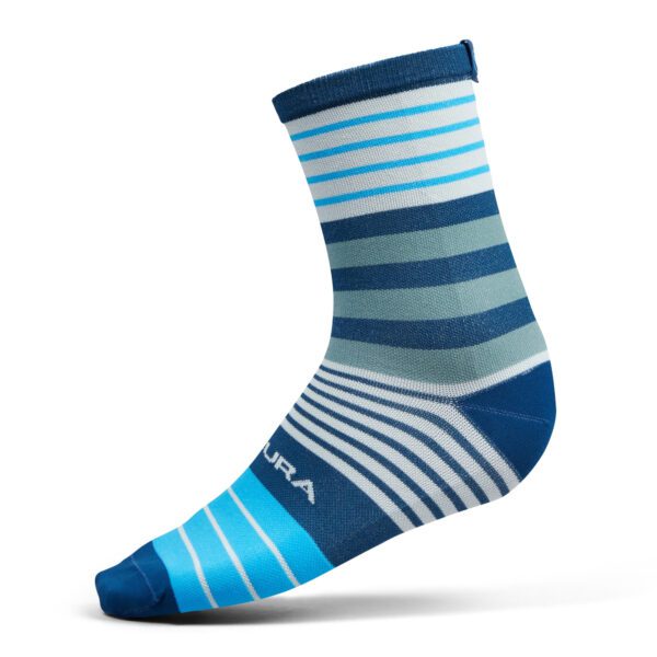 Endura_Block_Blue_1