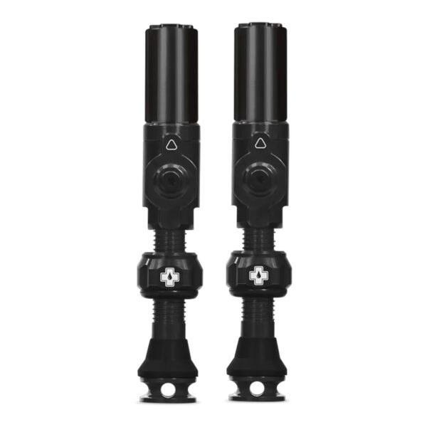 Big-Bore-Hybrid-Valves-Black-1